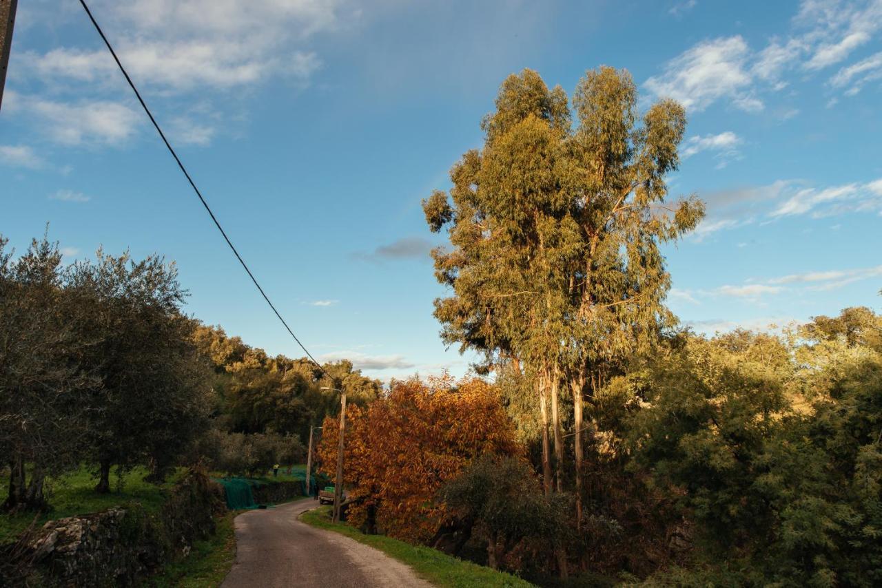 הוילה Azeite De Marvao, Olivoturismo Casa Venda Do Lagar מראה חיצוני תמונה